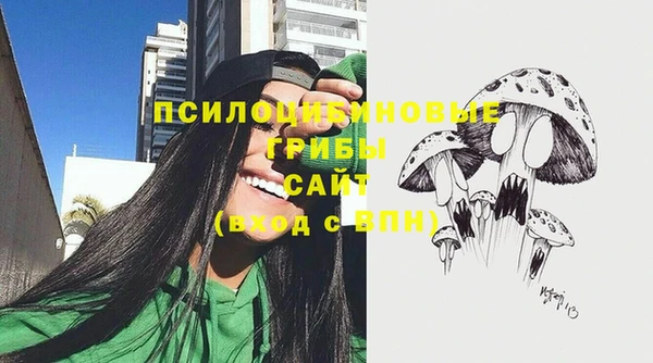 эйфоретик Алексеевка